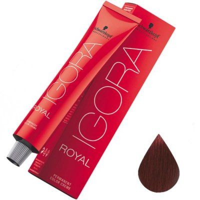 Краска schwarzkopf royal igora. Краска игора 4.88. Шварцкопф игора Роял. Schwarzkopf professional краска Igora Royal. Краска игора шварцкопф профессионал.